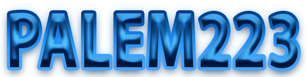 PALEM223 Logo
